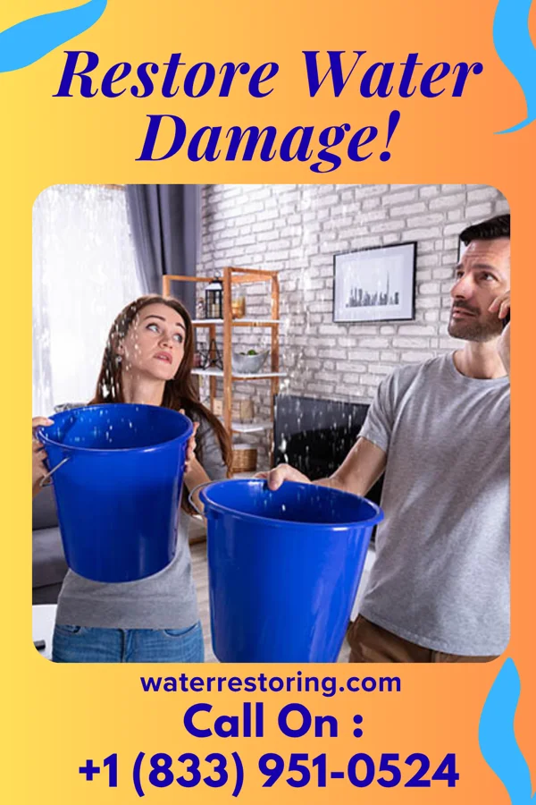 water restoration Classic Disaster Cleanup Services McBride